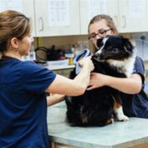 Sumner vet - 16024 60th St. E Sumner, WA 98390 Call 253-863-2258 Or Visit www.sumnervet.com WE OFFER! 24-hour ER Pet Care Doggie Daycare at Camp K9 Wellness & Preventative Care 